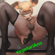 VegetariAno