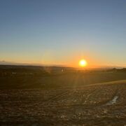 perlanerino@gmail.com