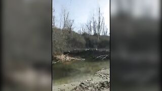 Non mi frega un cazzo se i guardoni ci vedono voglio scopare adesso