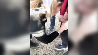 Scopatemi tutti porci e datemi i vostri cazzi in bocca