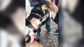 Scopatemi tutti porci e datemi i vostri cazzi in bocca