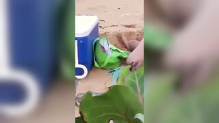 Studentessa beccate a lesbicare in spiaggia