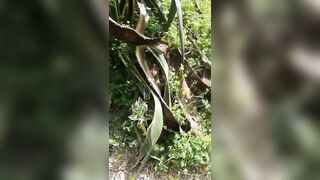 Qui è pieno di gente ma ho voglia di fare la troia FACCIAMOLI GUARDARE