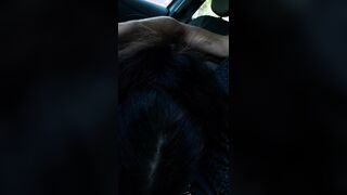 Riesci a guidare se ti faccio un pompino?