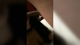 Pompinara meravigliosa