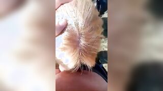 Giovane fidanzata italiana fa un bocchino al parco al suo ragazzo