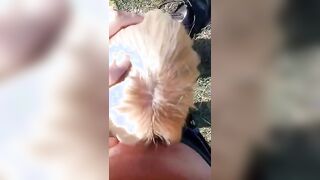 Giovane fidanzata italiana fa un bocchino al parco al suo ragazzo