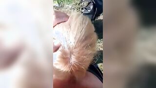 Giovane fidanzata italiana fa un bocchino al parco al suo ragazzo