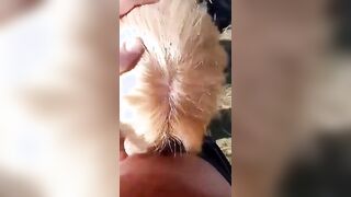 Giovane fidanzata italiana fa un bocchino al parco al suo ragazzo