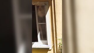 Ragazza italiana esibizionista eccita vicino di casa nuda alla finestra