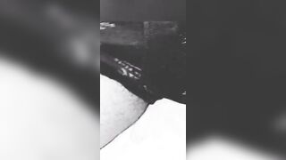 Pompinello di mia cognata porca