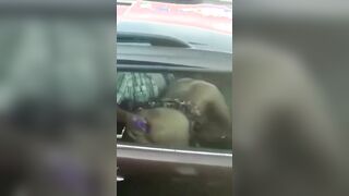 No ma che cazzo le sta a fa - Pompino in auto in autostrada