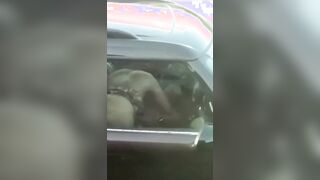 No ma che cazzo le sta a fa - Pompino in auto in autostrada