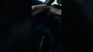 Moglie troia spompina in auto marito mentre guida