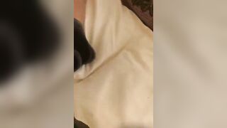 Gang bang moglie matura italiana scopata come una troia e sborrata in faccia