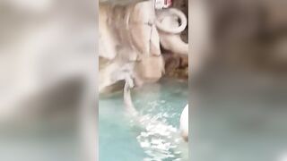 Ragazza esibizionista nuda nella fontana di Trevi a Roma