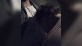 Lei che me lo succhia in macchina