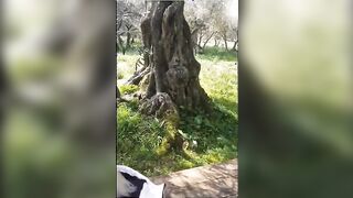 Ho convinto la mia troietta a scopare in un parco