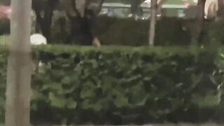 Pompino Piazza Diaz Milano