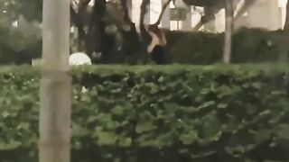 Pompino Piazza Diaz Milano