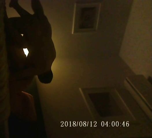 Video scopata con escort Vera
