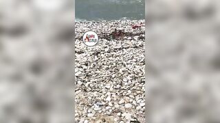 ragazza sega in spiaggia amico Ripari DI Giobbe