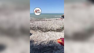 ragazza sega in spiaggia amico Ripari DI Giobbe