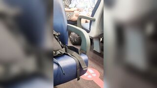 Coppia arrapata in treno Spy