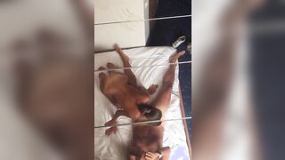 Rimorchio mamma fica in vacanza che mi fa un pompino