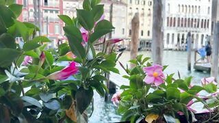 Esibizionista a Venezia