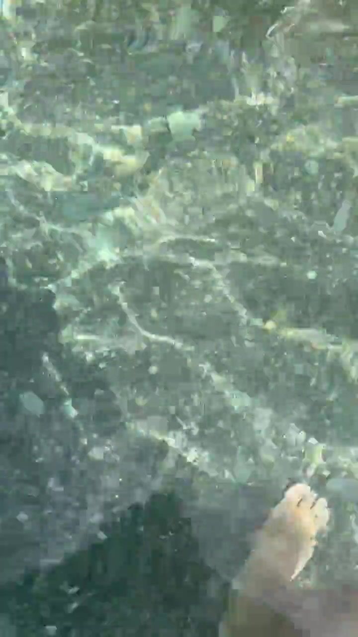Meglio il mare o la moglie?