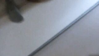 Due stalloni er mia moglie troia