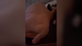 Schiavo umiliato e sottomesso a mia moglie