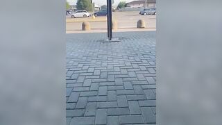 Moglie troia portata a cena fuori senza slip