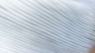 Pompino fidanzata italiana gola profonda all'aperto