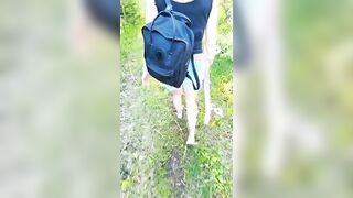 Coppia italiana Amatoriale SCOPATA IN PUBBLICO a pecorina