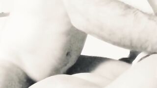 Pecorina moglie Modena