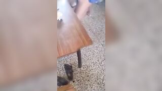 Portata a chiavare con gruppo di pescatori GANG BANG MOGLIE CUCKOLD REALE P.2