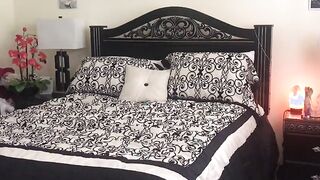 Stasera sono calda Sheila Stone