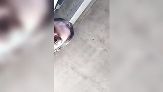 Maturo maiale con 18 enne all'aperto Diretta C4