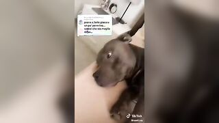 Naelkyta Elena Chirita raccolta Tiktok