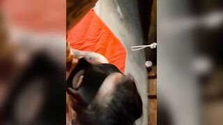 Gli faccio un pompino e mi sborra in faccia