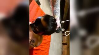 Gli faccio un pompino e mi sborra in faccia