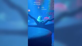 Noemi Blonde show dal vivo