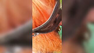 Scopata all'aperto spiati dai guardoni