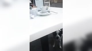 Al bar con la mia zoccola napoletana