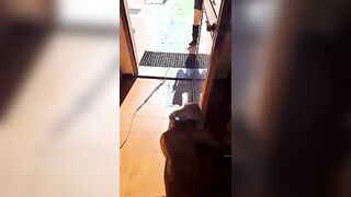 MILF esibizionista mostra le tette in cucina