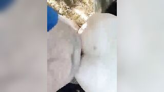 Approfittando delle ultime giornate di sole