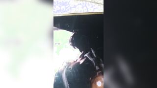 Mettici sta lingua sulla cappella me ce so affezionato a sta boccuccia