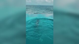 Valentina Fradegrada lato b